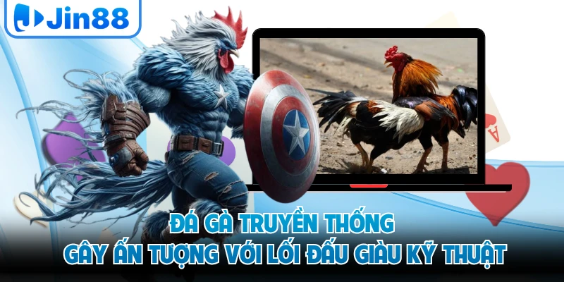 Đá gà truyền thống gây ấn tượng với lối đấu giàu kỹ thuật