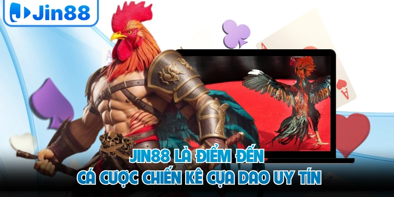 JIN88 là điểm đến cá cược chiến kê cựa dao uy tín