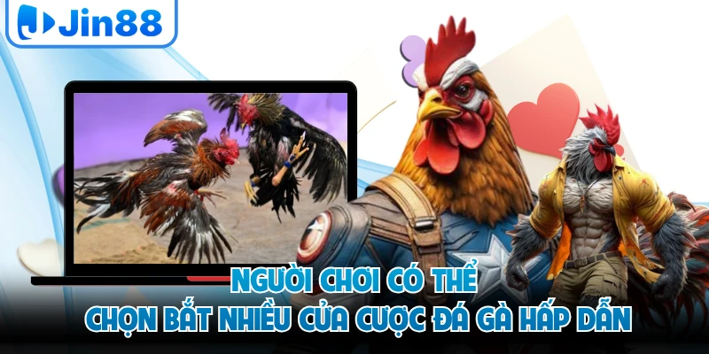 Người chơi có thể chọn bắt nhiều cửa cược đá gà hấp dẫn